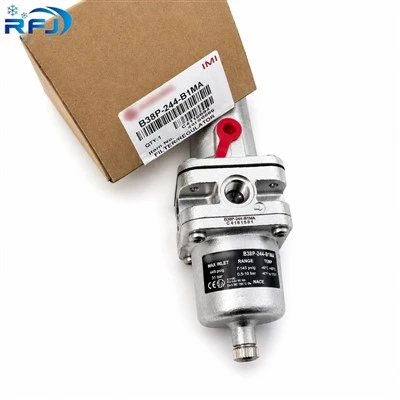 B38P-244-B1MA Regulátor přesného filtru z nerezové oceli